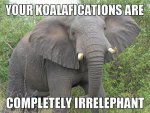 Funny-animal-puns2.jpg