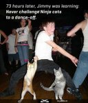 large_ninja-cat-dance-off_NO.jpg