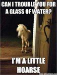 funny-little-hoarse-pun.jpg