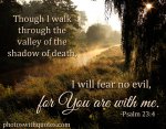 bible-verse-6l.jpg