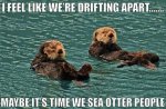 otter people (2).jpg