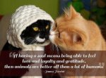 Animal quotes 0003.jpg