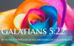 03dailyinspirationalbibleverses-300x187.jpg