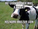 funny-puns-6-32.jpg