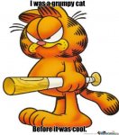 grumpy-garfield_o_990839.jpg