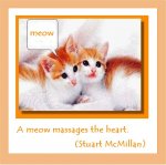 Cat-Quotes-5.jpg