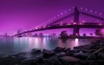 photography purple manhattan brooklyn city lights rivers bright suspension bridge manhattan brid.jpg