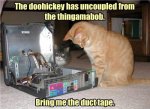 cats-fixing-computer-251115.jpg