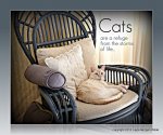 cats-quote-refuge-cat-wisdom-101.jpg