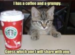 Coffee+cat_47e7c0_3080678.jpg