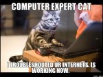 computer-expert-cat-i-troubleshooted-ur-internets-is-working-now.jpg