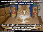 Cool funny cat pictures with captions (6).jpg