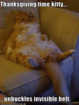 Thanksgiving Cat.gif