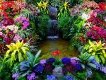 color-natural-scene-wallpaper-for-mobile-iphone-2012-2013.jpg