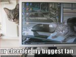 f4cd5_funny-pictures-cat-is-on-your-computer.jpg