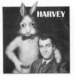 harvey.png