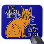 funny_cat_pun_mouse_pad-r4e96b0a612a24667ab95f2421668e0b5_x74vi_8byvr_324.jpg