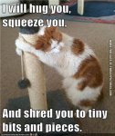 funny-cat-picture-i-will-love-you-squeeze-you.jpg