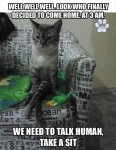 Funny-Cat-Pictures-with-Captions-26.jpg