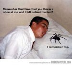 funny-spider-pillow-guy-sleeping.jpg