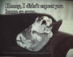 funny-dog-cat-photo-with-captions-14-honey-i-didnt-expect-you-home-so-soon.jpg