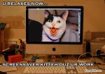 Screensaver Cat.jpg