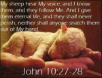 John10v27-28.jpg