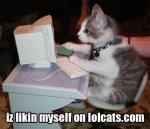 LOLCats.com.jpg