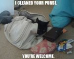 purse.jpg