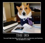 irs.jpg