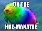 Colorful Manatee.jpg