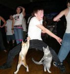 catsdance.jpg