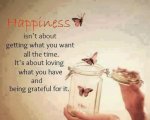 Happiness Isn't...jpg