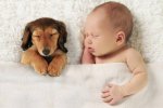 baby and dog sleeping.jpg