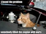 catmechanic.jpg