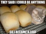 loafin' around.jpg