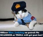 catcop.jpg