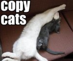 copycats.jpg