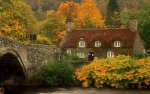 cabin and foliage.jpg