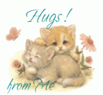 Hug-cat.gif