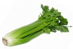 celery_442368c.jpg