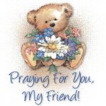 pray_bear-58bde8057dcd904a519aecfe56a7f677.jpg