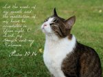 Psalm-19-14.jpg