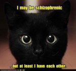 Schizophrenic Cat.jpg