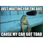 car toad.jpg