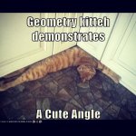 mathjoke-math-funny-humor-pun-joke-cat-kitten-acuteangle-kitchen-corner.jpg