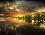 nature-photography-8.jpg