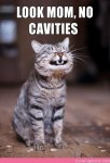 look-mom-no-cavities.jpg