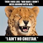 Ain't No Cheetah.jpg