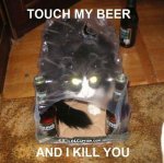 beer cat.jpg